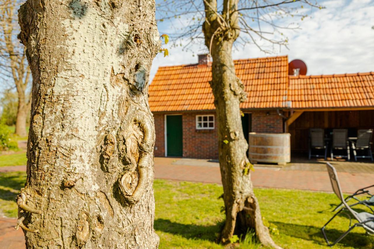 Vila Reetdach Ostfriesenhaus Südbrookmerland Exteriér fotografie